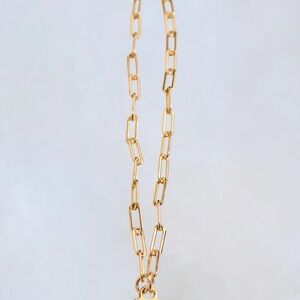 Gold Paperclip Chain with Sennod Vignette Holder
